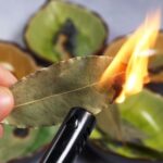 Une bombe de floraison naturelle pour Anthurium – peut durer jusqu’à 15 ans